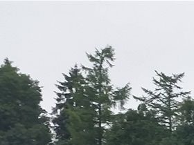 Her ses westernbyen beliggende imellem de øvrige lejrpladser.